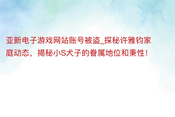 亚新电子游戏网站账号被盗_探秘许雅钧家庭动态，揭秘小S犬子的眷属地位和秉性！