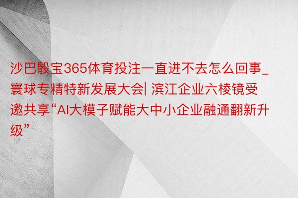 沙巴骰宝365体育投注一直进不去怎么回事_寰球专精特新发展大会| 滨江企业六棱镜受邀共享“AI大模子赋能大中小企业融通翻新升级”