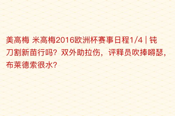 美高梅 米高梅2016欧洲杯赛事日程1/4 | 钝刀割新苗行吗？双外助拉伤，评释员吹捧嘚瑟，布莱德索很水？